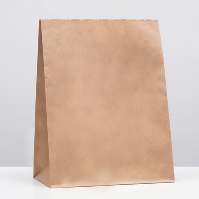 Пакет крафт бумажный фасовочный, прямоугольное дно 26×15×34 см