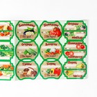 Набор цветных этикеток для домашних заготовок из овощей, грибов и зелени 6.4×5.2 см - фото 8328167