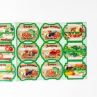 Набор цветных этикеток для домашних заготовок из овощей, грибов и зелени 6.4×5.2 см - Фото 4