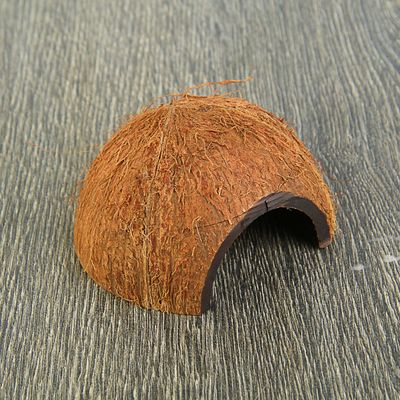 Скорлупа кокосовая 1/2, для рептилий и грызунов, L