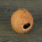 Скорлупа кокосовая целая для рептилий и грызунов, L - фото 8562479
