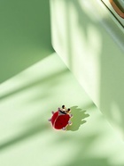 Значок «Божья коровка», цвет красно-чёрный в золоте - Фото 8