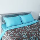 Постельное бельё "Этель" 2сп Музыка ветра 175*215см, 200*220см, 50*70см -2шт - Фото 2