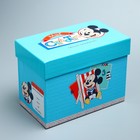 Фотоальбомы на 36 фото и памятная коробочка "Сокровища нашего малыша", Микки Маус - Фото 5