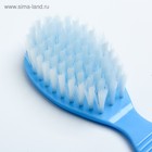 Расчёска детская + массажная щётка для волос, от 0 мес., цвет голубой, рисунок МИКС - Фото 6