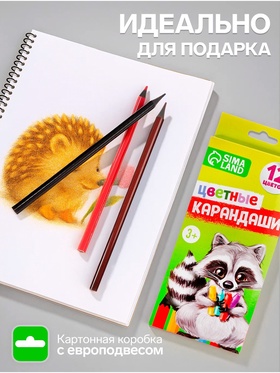 Карандаши Calligrata цветные заточенные, 12 цветов, в картонной коробке