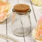 Основа для творчества и декорирования «Бутылочка», с пробкой, 110 мл - Фото 1