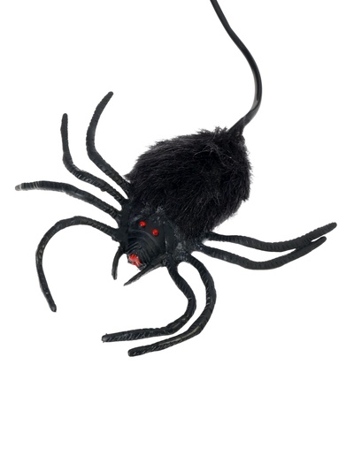 Прикол «Прыгающий паук»