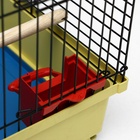 Клетка для птиц "Грация", 49 х 36 х 37 см, микс цветов 2395614