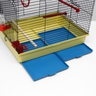 Клетка для птиц "Грация", 49 х 36 х 37 см, микс цветов 2395614