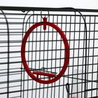 Клетка для птиц "Грация", 49 х 36 х 37 см, микс цветов 2395614