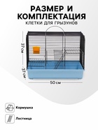 Клетка для грызунов «Сеня 2», 50×37×37 см, цвет МИКС - Фото 2