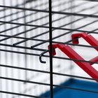 Клетка для грызунов «Сеня 2», 50×37×37 см, цвет МИКС - Фото 11