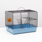 Клетка для грызунов «Сеня 2», 50×37×37 см, цвет МИКС - Фото 4