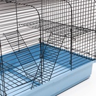 Клетка для грызунов «Сеня 2», 50×37×37 см, цвет МИКС - Фото 6