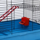 Клетка для грызунов «Сеня 2», 50×37×37 см, цвет МИКС - Фото 8