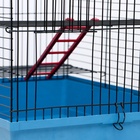 Клетка для грызунов «Сеня 2», 50×37×37 см, цвет МИКС - Фото 9