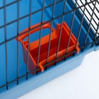 Клетка для грызунов «Сеня 2», 50×37×37 см, цвет МИКС - Фото 10