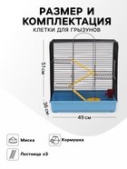 Клетка для грызунов "Сеня 3-1", 49×36×51 см, цвет МИКС - Фото 2