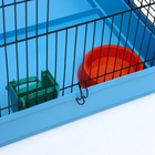 Клетка для грызунов "Сеня 3-1", 49×36×51 см, цвет МИКС - Фото 12