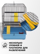 Клетка для грызунов "Сеня 3-1", 49×36×51 см, цвет МИКС - Фото 4