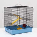 Клетка для грызунов "Сеня 3-1", 49×36×51 см, цвет МИКС - Фото 5