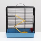 Клетка для грызунов "Сеня 3-1", 49×36×51 см, цвет МИКС - Фото 6