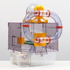 Клетка для грызунов «Арчи 2», 39 х 28 х 35 см, микс цветов - Фото 1