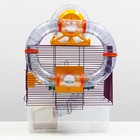 Клетка для грызунов «Арчи 2», 39 х 28 х 35 см, микс цветов - Фото 2