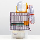 Клетка для грызунов «Арчи 2», 39 х 28 х 35 см, микс цветов - Фото 3