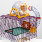 Клетка для грызунов «Арчи 2», 39 х 28 х 35 см, микс цветов - Фото 4