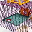 Клетка для грызунов «Арчи 2», 39 х 28 х 35 см, микс цветов - Фото 5