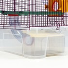 Клетка для грызунов «Арчи 2», 39 х 28 х 35 см, микс цветов - Фото 6