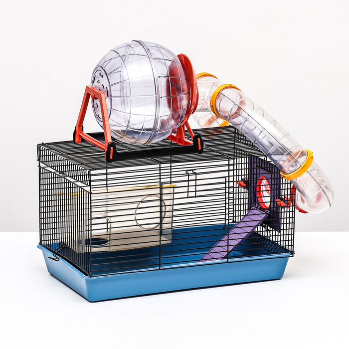 Клетка для грызунов малая, 40×25×22 см, с лабиринтом, колесом и домом, цвет МИКС - Фото 1