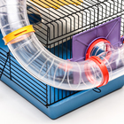 Клетка для грызунов малая, 40×25×22 см, с лабиринтом, колесом и домом, цвет МИКС - Фото 11