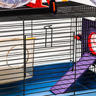 Клетка для грызунов малая, 40×25×22 см, с лабиринтом, колесом и домом, цвет МИКС - Фото 3