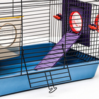 Клетка для грызунов малая, 40×25×22 см, с лабиринтом, колесом и домом, цвет МИКС - Фото 4