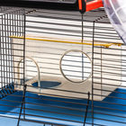 Клетка для грызунов малая, 40×25×22 см, с лабиринтом, колесом и домом, цвет МИКС - Фото 6