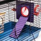 Клетка для грызунов малая, 40×25×22 см, с лабиринтом, колесом и домом, цвет МИКС - Фото 7