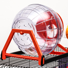 Клетка для грызунов малая, 40×25×22 см, с лабиринтом, колесом и домом, цвет МИКС - Фото 9