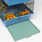 Клетка для грызунов, 39×29×64 см, трехярусная, с лабиринтом и колесом, цвет МИКС - Фото 12