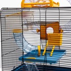 Клетка для грызунов, 39×29×64 см, трехярусная, с лабиринтом и колесом, цвет МИКС - Фото 4