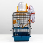 Клетка для грызунов, 39×29×64 см, трехярусная, с лабиринтом и колесом, цвет МИКС - Фото 5