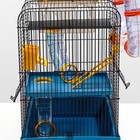 Клетка для грызунов, 39×29×64 см, трехярусная, с лабиринтом и колесом, цвет МИКС - Фото 6