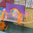 Клетка для грызунов, 39×29×64 см, трехярусная, с лабиринтом и колесом, цвет МИКС - Фото 10