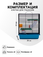 Клетка для грызунов «Дом», 39×29×49 см, трехярусная, цвет МИКС - Фото 2