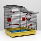 Клетка для попугая «Фиона», 48×38×53 см, 3 яруса, цвет МИКС - Фото 4