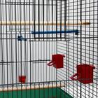 Клетка для попугая "Фиона", 4 яруса, 48 х 38 х 65 см, микс цветов - Фото 11