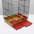 Клетка «Грация», 4 яруса, 50×36×65 см, микс цветов - Фото 11