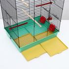 Клетка «Грация», 4 яруса, 50×36×65 см, микс цветов - Фото 10